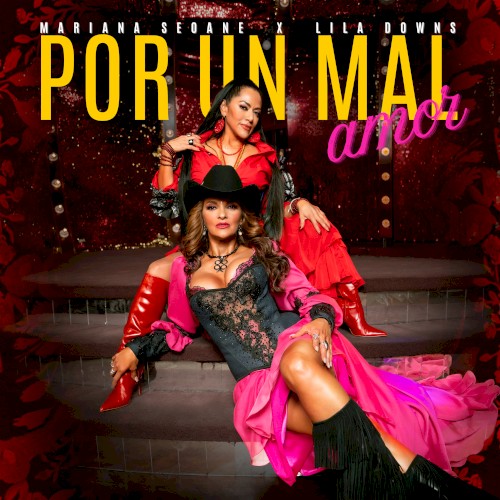 Por Un Mal Amor封面