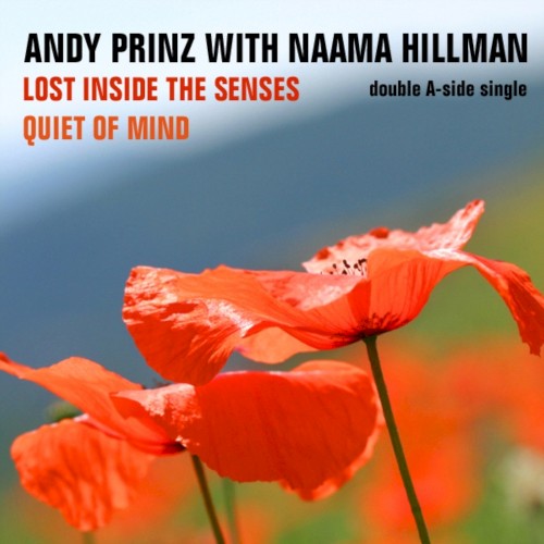 Lost Inside The Senses / Quiet Of Mind封面