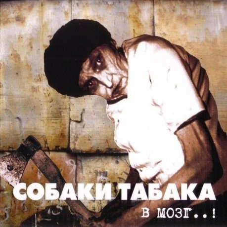 В мозг..!封面