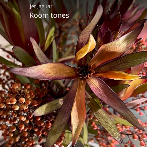 Room Tones封面