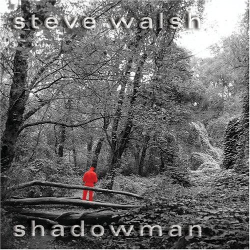 Shadowman封面
