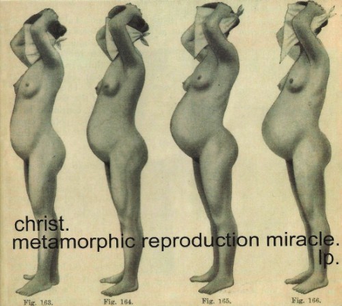 Metamorphic Reproduction Miracle封面