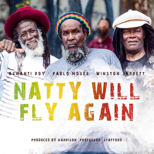 Natty Will Fly Again封面
