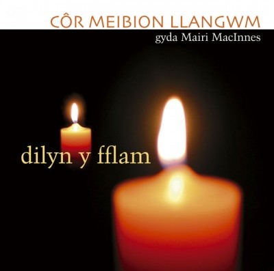 Dilyn y Fflam封面