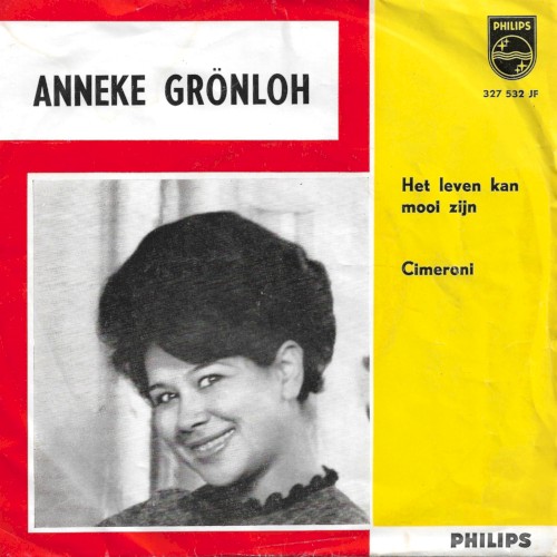 Het leven kan mooi zijn封面