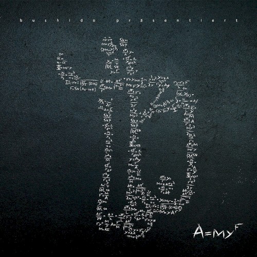 AMYF封面