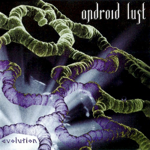 Evolution封面
