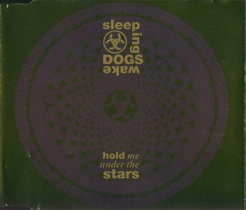Hold Me Under the Stars封面
