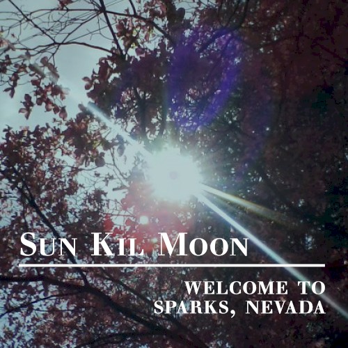 Welcome to Sparks, Nevada封面