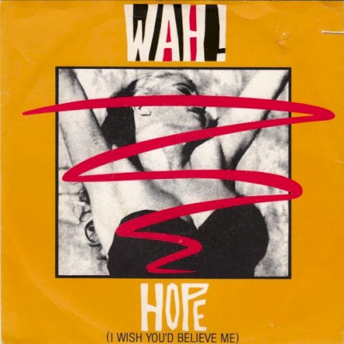 Hope (I Wish You'd Believe Me)封面
