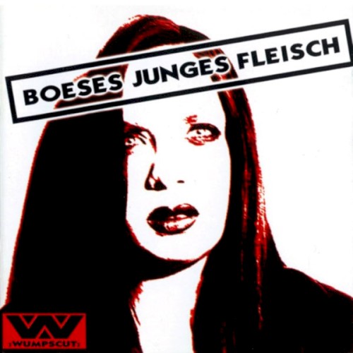 Boeses junges Fleisch封面
