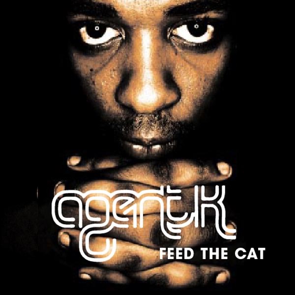 Feed the Cat封面