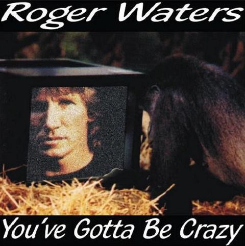 1999‐08‐17: You’ve Gotta Be Crazy封面