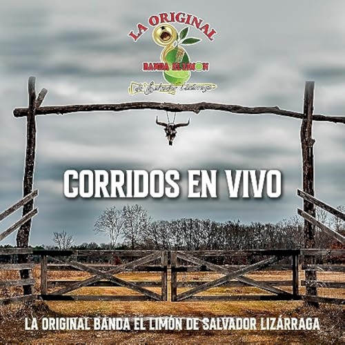 Corridos en vivo封面