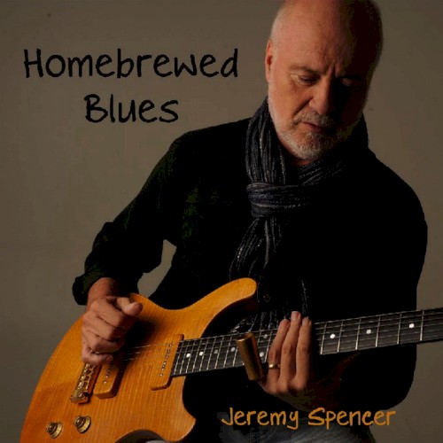 Homebrewed Blues封面