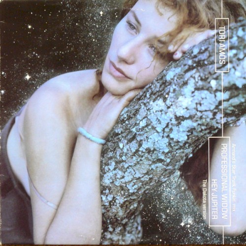 Hey Jupiter / Professional Widow封面
