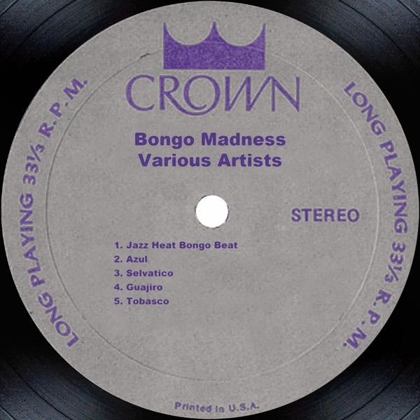 Bongo Madness封面