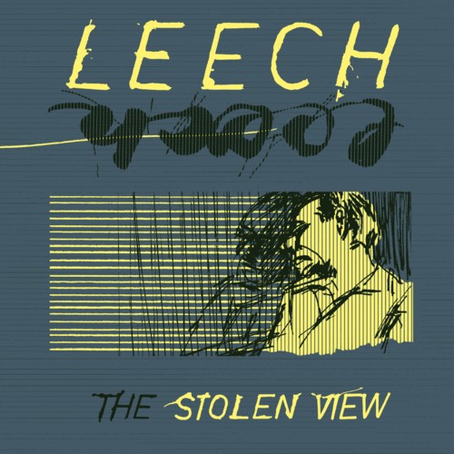 The Stolen View封面