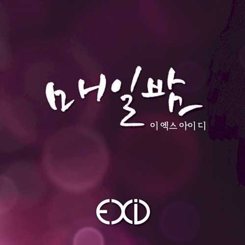 매일밤封面