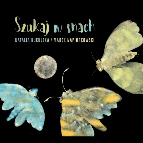 Szukaj w snach封面