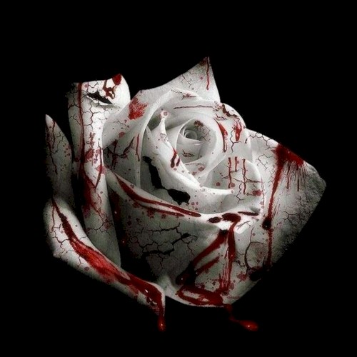 Romantic Homicide封面