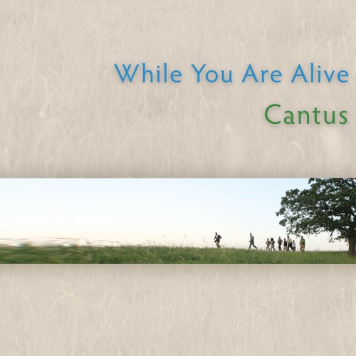 While You Are Alive封面