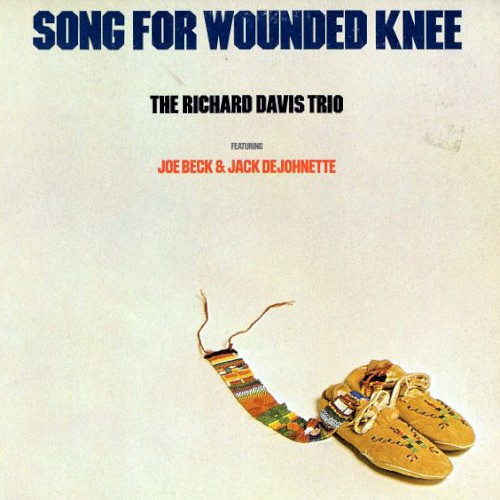 Song for Wounded Knee封面