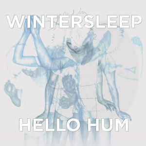 Hello Hum封面