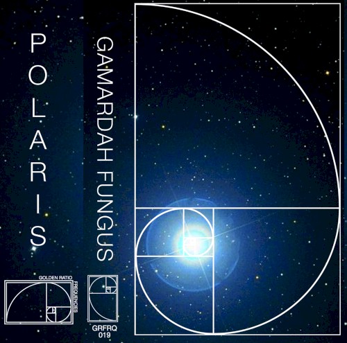 Polaris封面