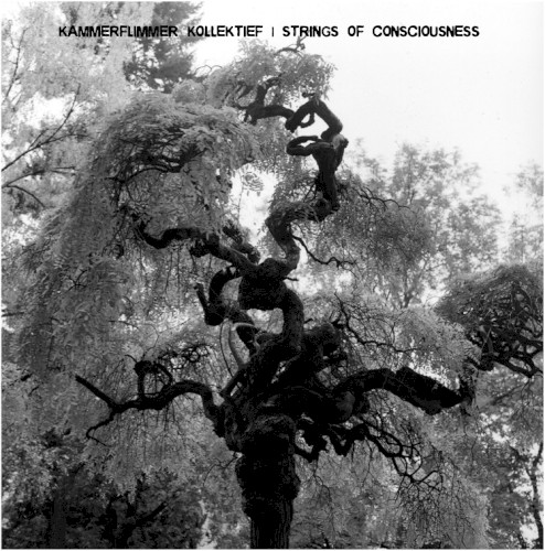 Kammerflimmer Kollektief / Strings of Consciousness封面