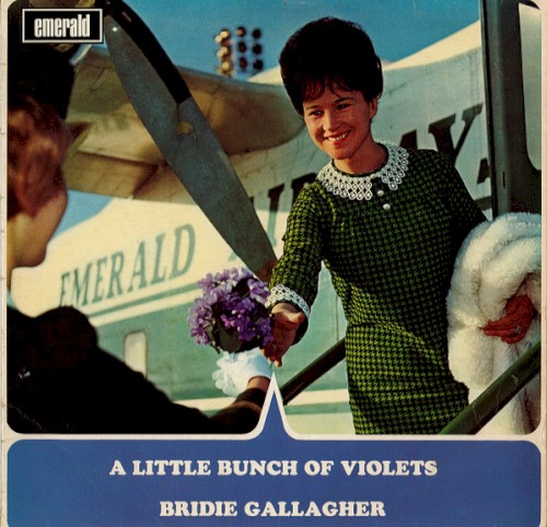 A Little Bunch of Violets封面