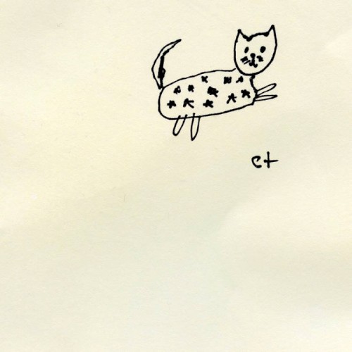 starry cat封面