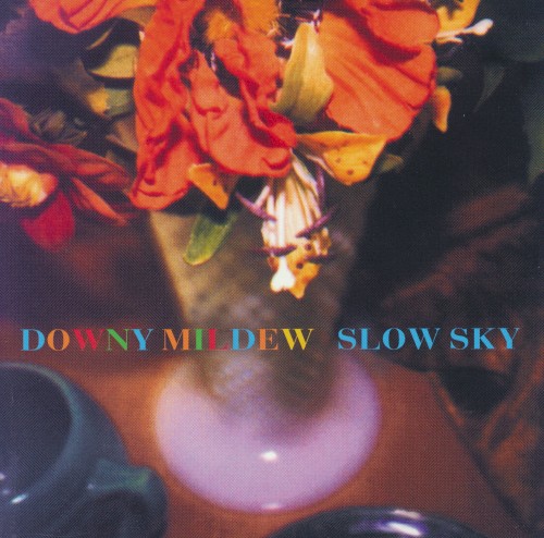 Slow Sky封面