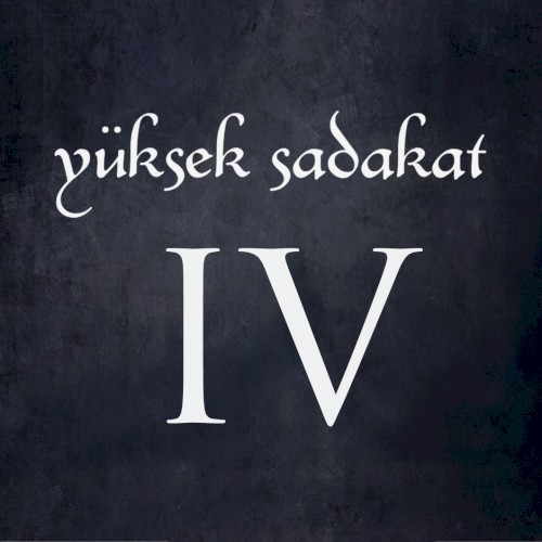 IV封面