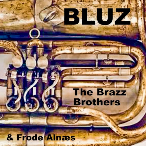 Bluz封面