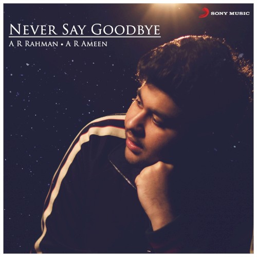 Never Say Goodbye (From “Dil Bechara”)封面