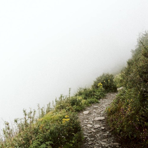 Hiding in Himalaya封面