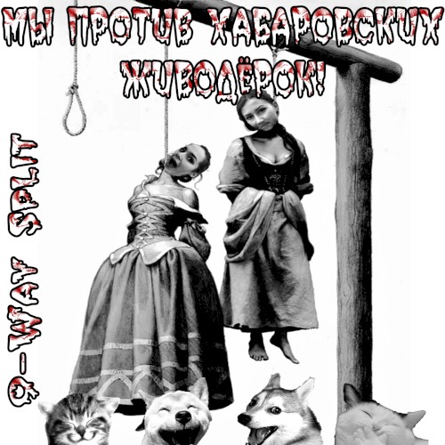 Мы Против Хабаровских Живодёрок! (9-way Split)封面