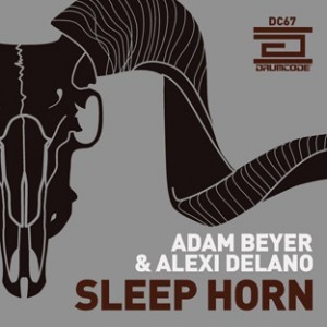 Sleep Horn封面