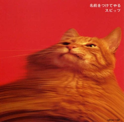 名前をつけてやる封面