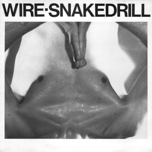 Snakedrill封面