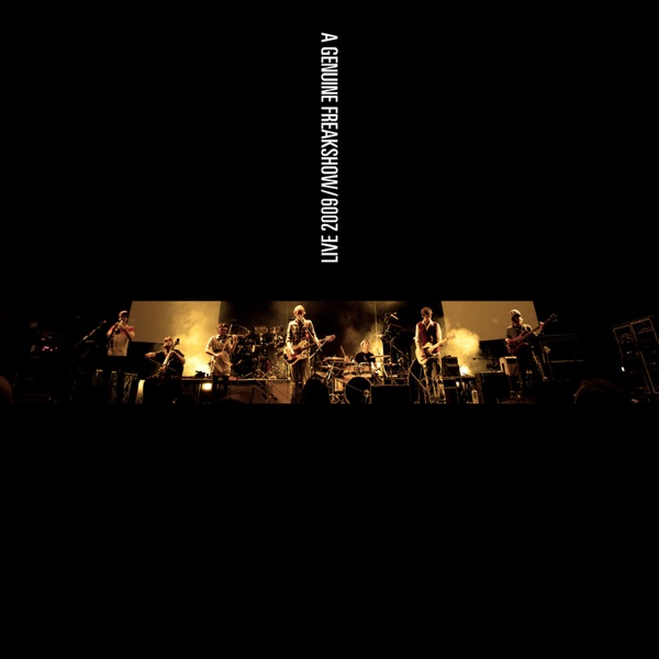 Live 2009封面