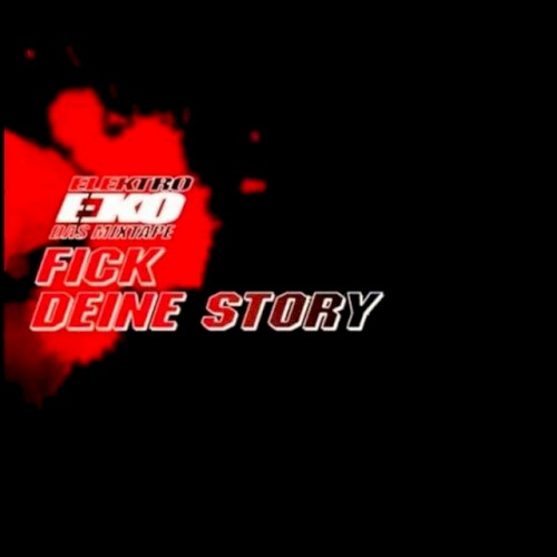Fick deine Story封面