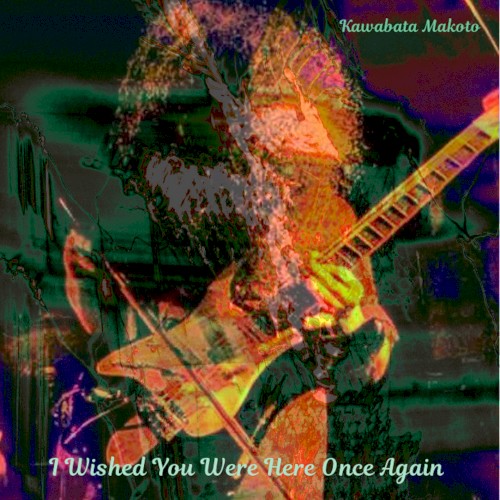 I Wished You Were Here Once Again封面