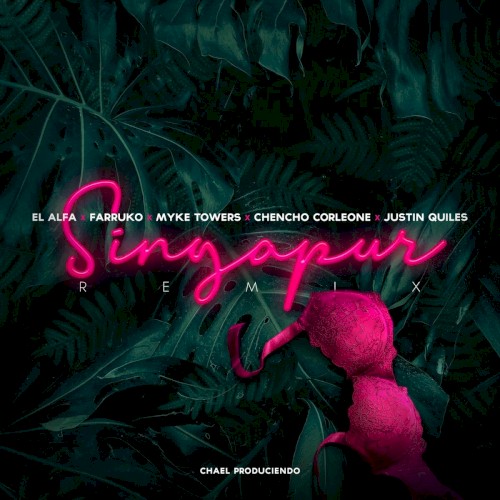Singapur (remix)封面