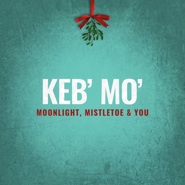 Moonlight, Mistletoe & You封面
