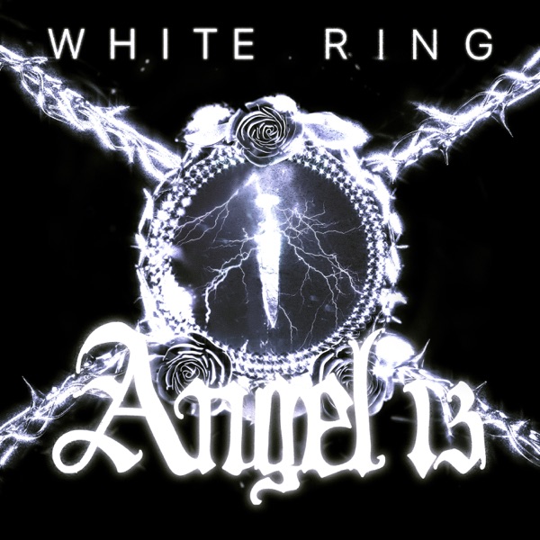 Angel 13 Volume 1封面