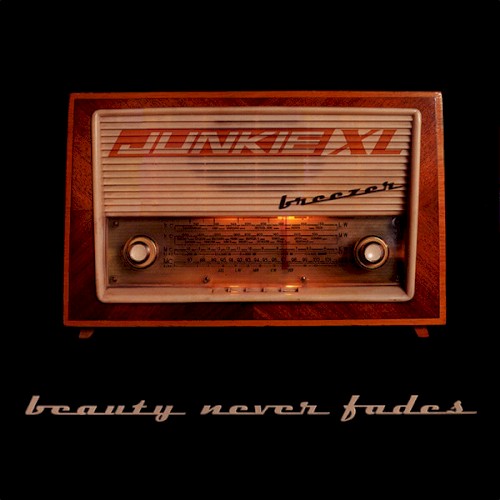 Beauty Never Fades / Breezer封面