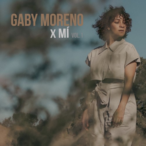 X Mí, Vol. 1封面