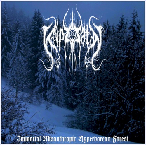 Immortal Misanthropic Hyperborean Forest封面